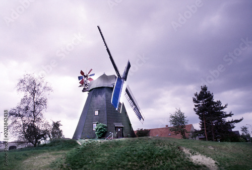 Foto Windmühle Paula in Steinhude