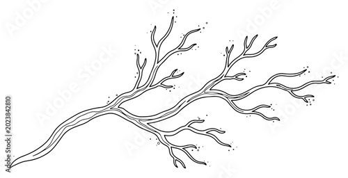 Foto Branching organic structure resembling tree limbs or coral in minimalist line ar