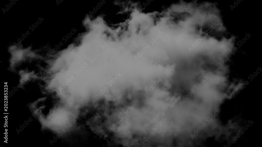 Fototapeta premium A single fluffy white cloud captured in this high resolution photograph showing detailed texture and soft natural light diffusion patterns