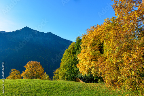 Fotografia Goldener Herbst in Laterns mit Blick auf die markante Bergsilhouette der Hohe Ku