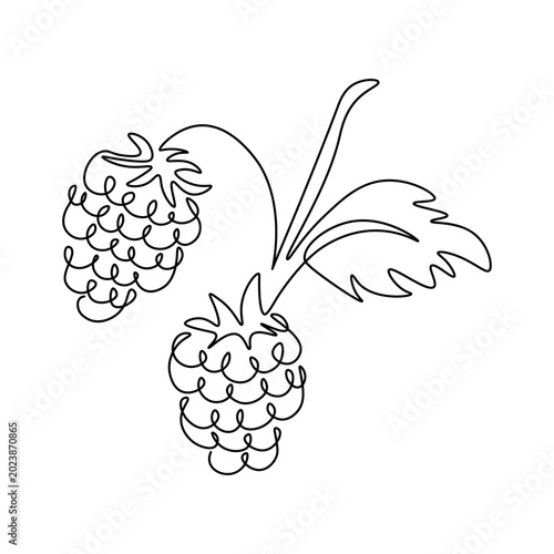 Cuadro en lienzo Raspberry one line drawing