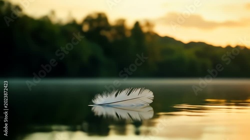 Floating feather on calm water with sunset background peaceful scene