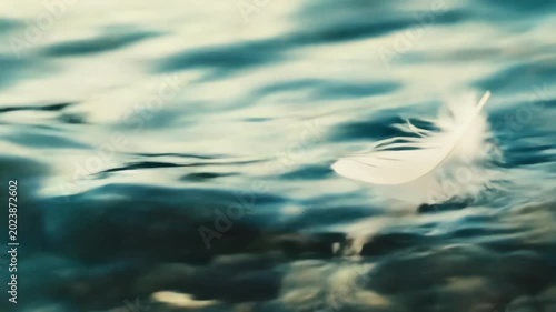White feather floating on water surface abstract background