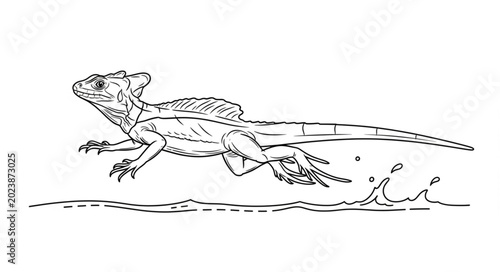 Fotografia Basilisk Lizard Running on Water Surface Illustration.
