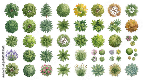 Set of Top View Trees and Shrubs for Landscape Architecture Design and Garden Planning Projects on White Background