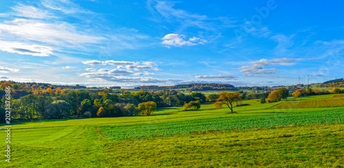 Canvastavla Weite herbstliche Hügellandschaft im Hohen Vogelsberg bei Grebenhain, Hessen