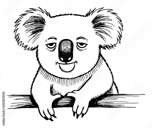 Photography Koala bear with tired droopy eyes leaning on wooden branch in vintage sketch sty