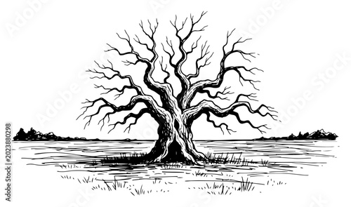 Konstfotografi Old majestic tree without leaves in an open landscape sketch style