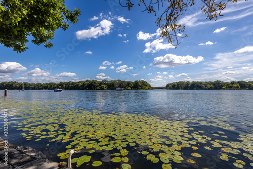 Foto Blick auf den Tegeler See, Tegelorter Ufer, Berlin Reinickendorf