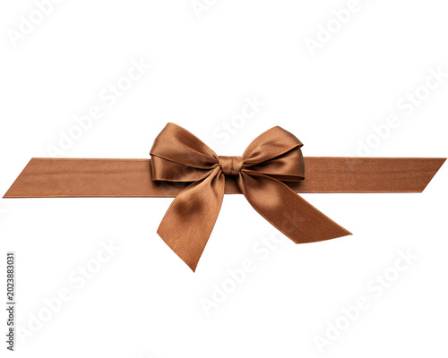 Elegant Brown Satin Gift Ribbon Bow Isolated