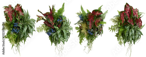 Four hanging planters with lush greenery on transparent background