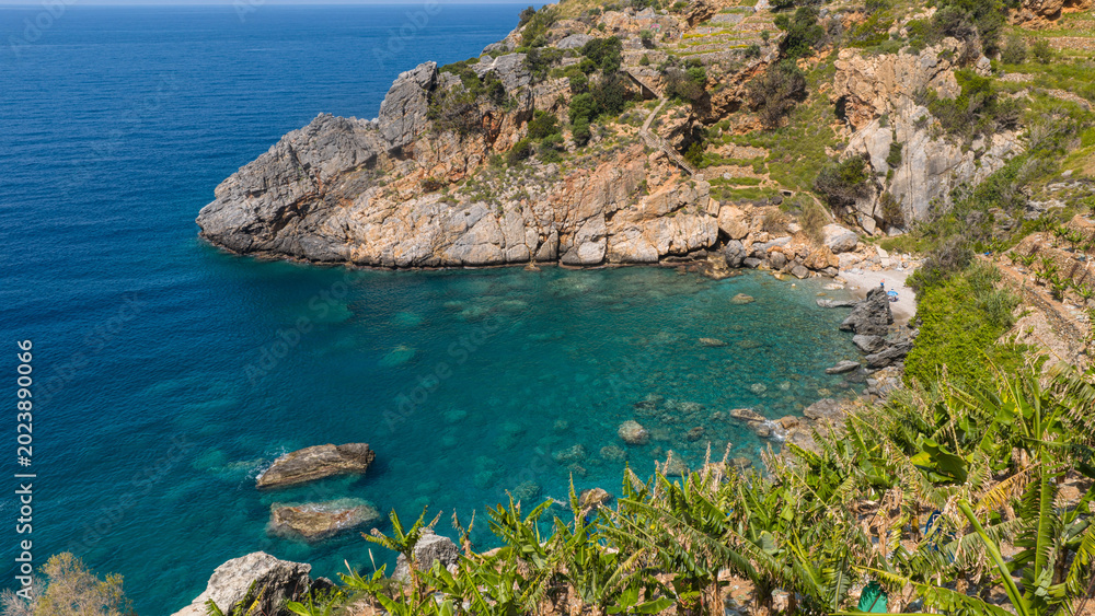 Obraz premium A hidden, rocky, turquoise-colored paradise cove nestled behind banana trees in Gazipaşa.