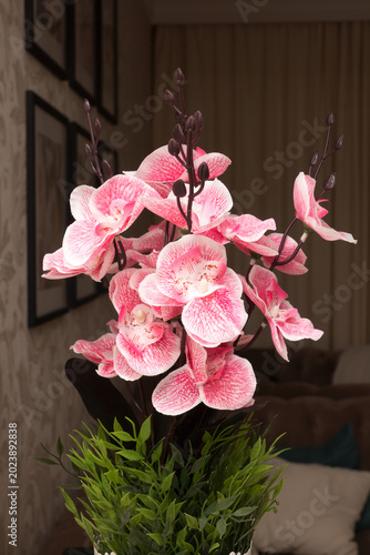  large bouquet of fresh red orchids