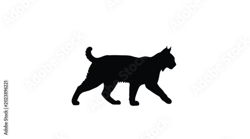 Photography Lynx silhouette on a white background