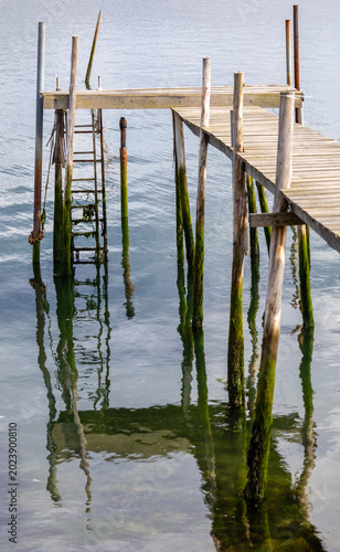 Old wooden pier and jetty on stilts with algae-covered poles over calm water, Ria de Aveiro, Portugal