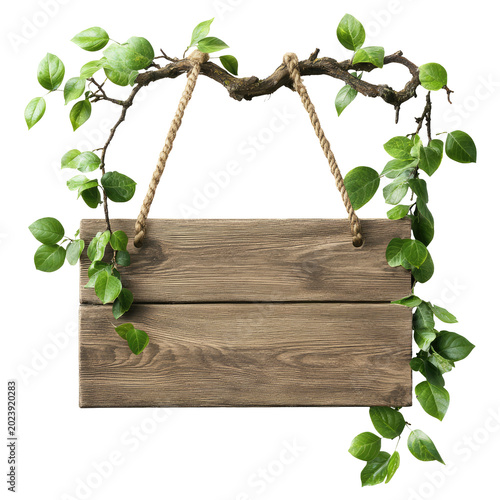 Green tropical leaf transparent background