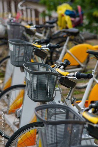 Bicycles in the City