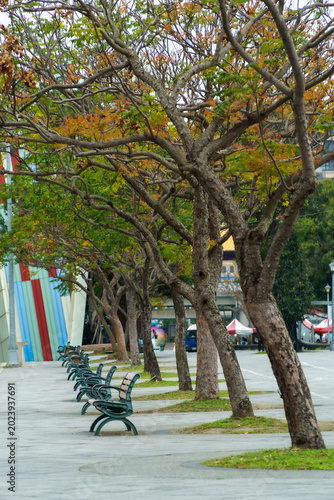 Bench in the Park