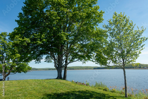 Scenic river view landscape in Essex, Connecticut (USA)