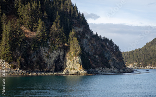 mountain and fjord