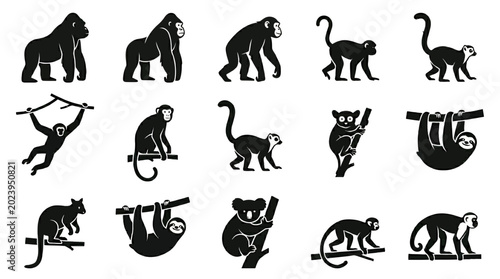 Flat silhouette vector icon set of 12 arboreal and primate animals  gorilla standing  chimpanzee walking  orangutan standing  gibbon swinging pose  monkey sitting  lemur standing  tarsier sitting  slo