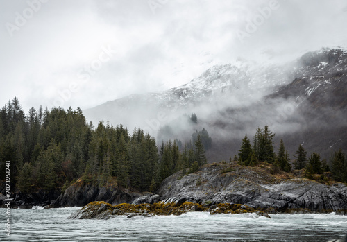 Misty fjord 
