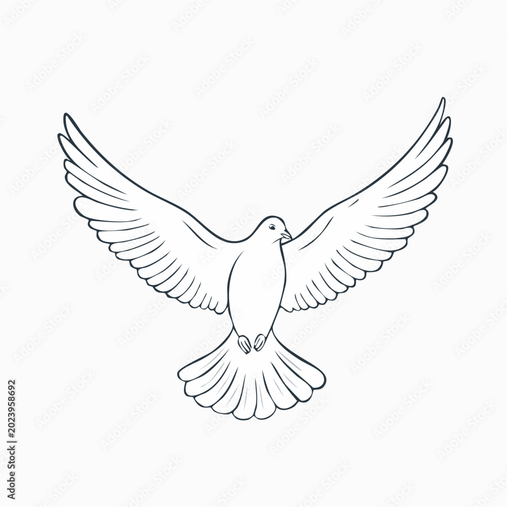 Fototapeta premium Dove flying with wings spread, line art