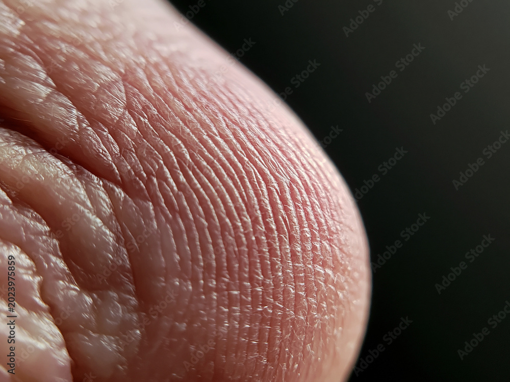 Fototapeta premium Macro Photography of Skin Texture: Detailed Close-Up of Surface Patterns and Natural Microstructures