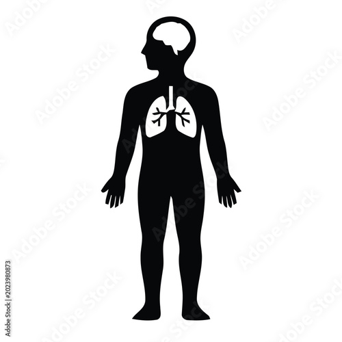Tableau sur toile Human Body Lung Anatomy.