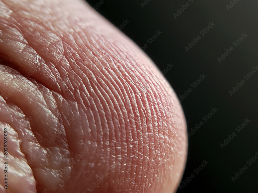 Fototapeta premium Macro Photography of Human Skin: Close-Up on Texture and Fine Detail of Biological Structure