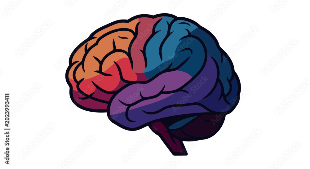 Fototapeta premium Colorful Human Brain Illustration - Concept of Mind and Ideas