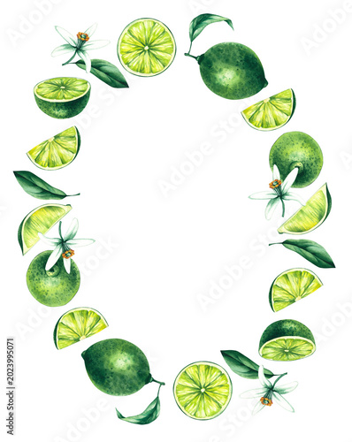 Lime wreath. Watercolor hand-drawn citrus tropical fruit. Lime hand-painted illustration. Botanical lime fruit for wedding invitations, festivals, or postcards.