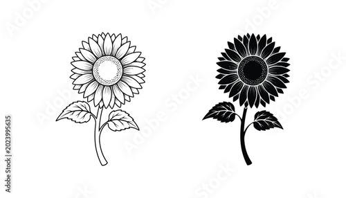 Foto Blooming sunflower flower head line and solid black silhouette icon