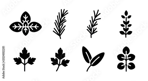 Herbs Icons Set, Basil, Rosemary, Parsley, Sage, Mint, Vector Collection