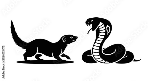 Photos Mongoose Versus Cobra Snake Silhouette Battle