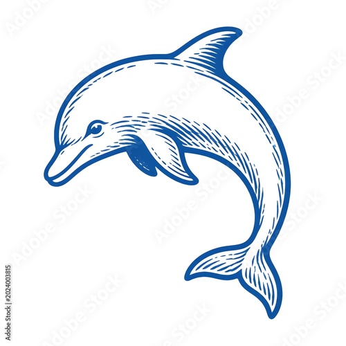 dolphin isolated on white background
