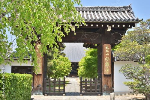 Foto 妙顕寺の山門