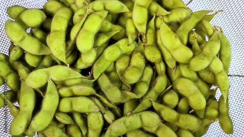 白背景で回転するザルに盛った生のだだちゃ豆（枝豆）