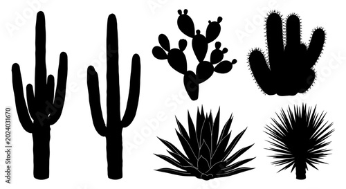 Desert Plant Silhouettes: Cactus, Agave, Yucca - Black and White Vector Icons