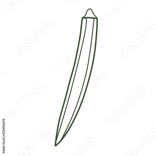 okra outline vector 
