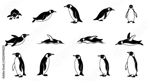 Tableau sur toile Penguin Icons Set: Diverse Poses and Actions of Antarctic Birds Collection