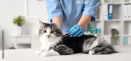 Veterinarian examining cute...