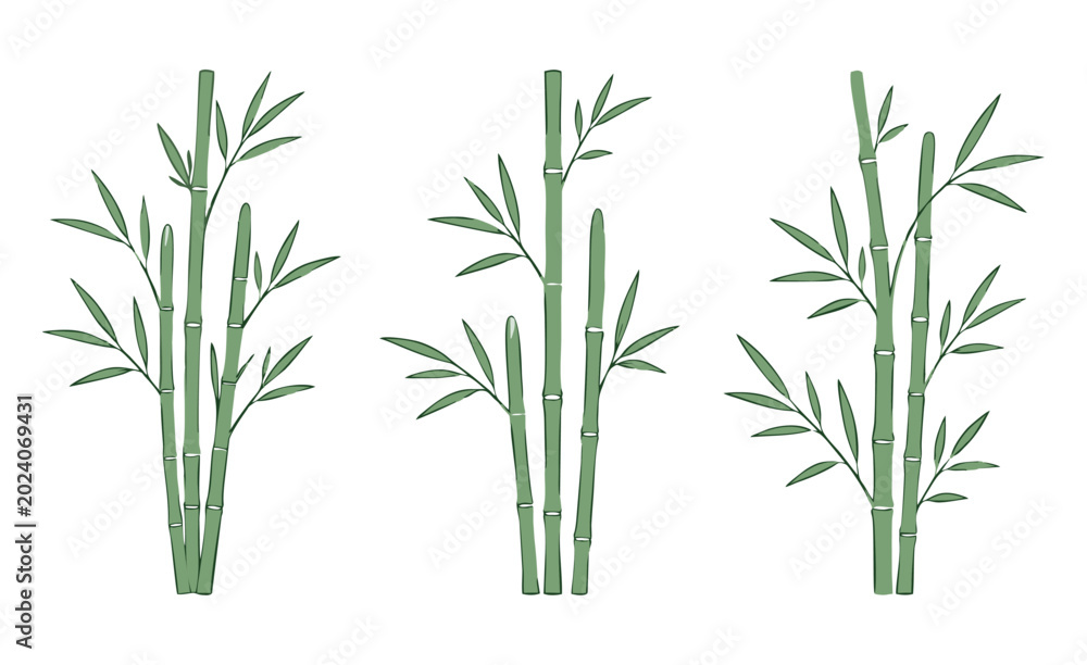Obraz premium Minimalist Bamboo Vector Set, Simple Flat Bamboo Illustration with Clean Outline in SVG Style Isolated on White Background