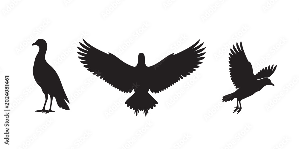 Fototapeta premium Flying Eagle and Wild Birds Silhouettes Set