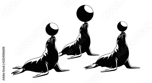 Billede på lærred Three circus seals balancing balls on noses, black and white illustration