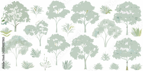 Fotografie Tree silhouettes and foliage botanical illustration set