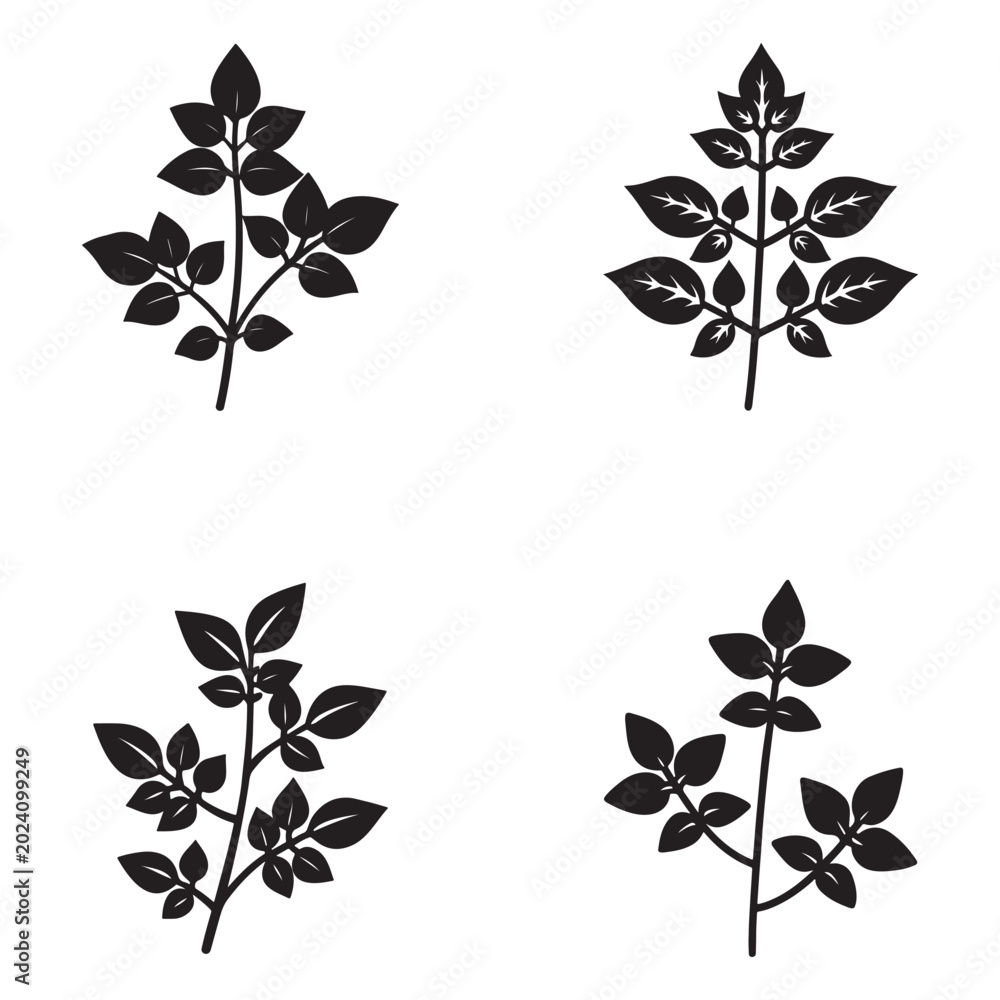 Obraz premium Four black silhouettes of plants with leaves on white background for design and decoration simple line style