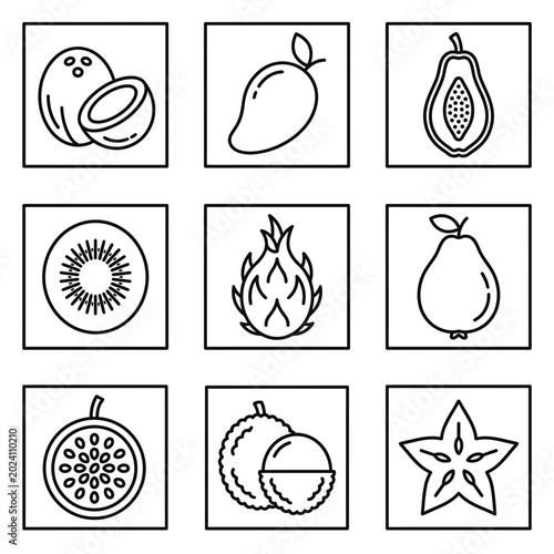 Bild auf Leinwand Variety of Fruit Illustrations.