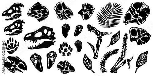 Bild auf Leinwand Botanical and skeletal illustrations black and white graphic