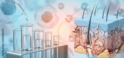 Human skin anatomy, dermatology medical concept, skin layer science, laboratory research tubes, dermatology healthcare background, skin cell biology, cosmetic science research

